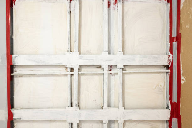Best Attic Mold Removal  in Mancelona, MI