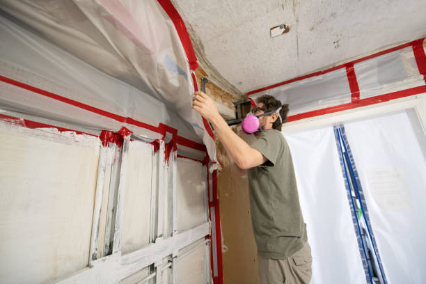 Best Industrial Mold Remediation  in Mancelona, MI