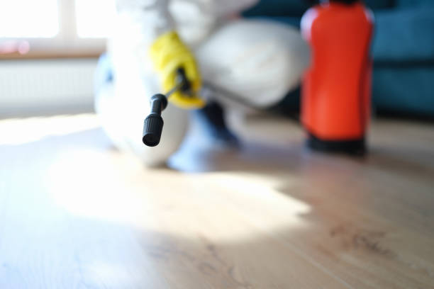 Forensic Mold Investigation in Mancelona, MI