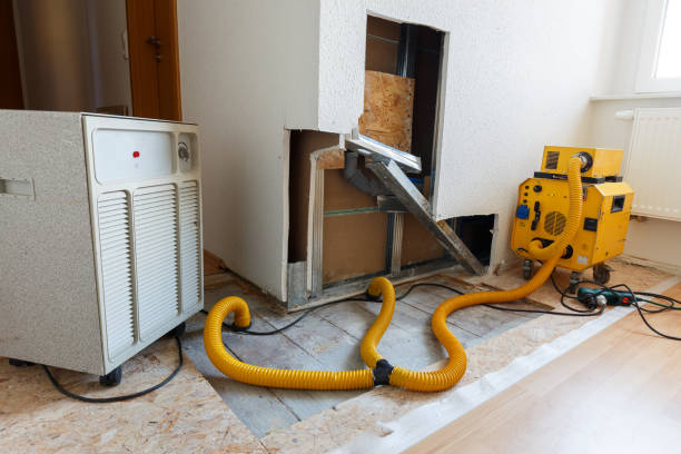 Best Mold Removal for HVAC Installations  in Mancelona, MI