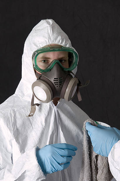 Best Black Mold Removal  in Mancelona, MI